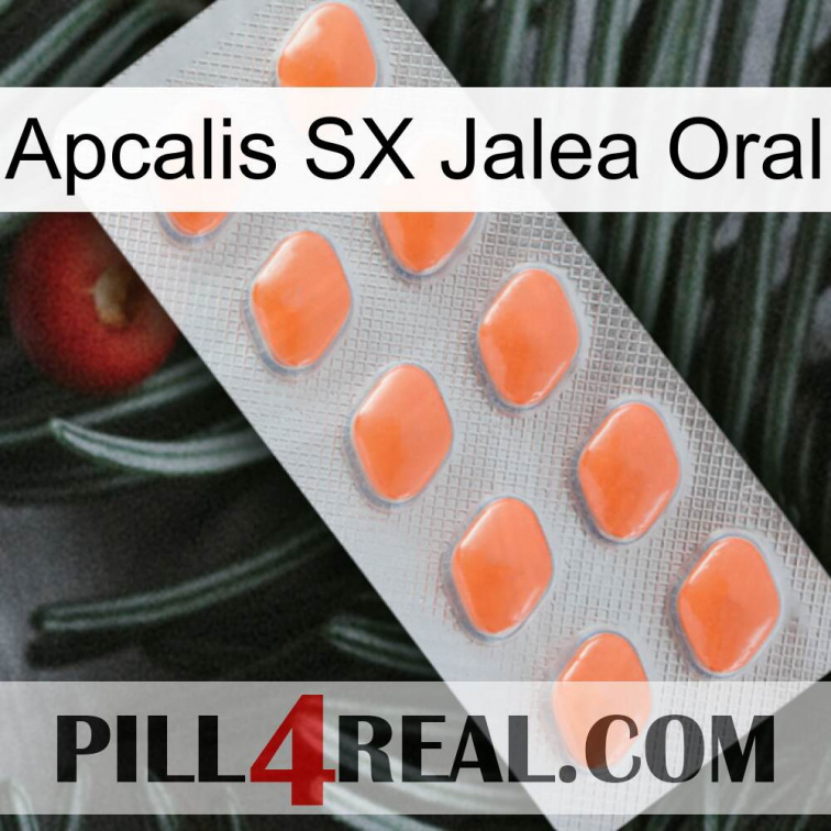 Apcalis SX Oral Jelly 26